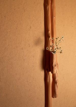 防音内窓で快適な生活が手に出来ます